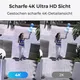 Reolink P850 Netzwerk-Überwachungskamera Outdoor