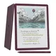 Amazon Kindle Scribe Colorsoft 64GB, Premium-Eingabestift, Feige