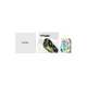 ZOTAC GAMING GeForce RTX 5060 Twin Edge 8GB GDDR7 Grafikkarte 3x DP, 1x HDMI