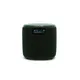 Pure Woodland Mini wasserdichter Outdoor-Lautsprecher mit FM/DAB+ Radio, grün