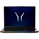 Erazer Beast 16 X10 Ultimate Gaming Laptop 16" QHD+ mini LED 300Hz Intel Core Ultra 9 290HX 64GB/2TB RTX 5090 Win11