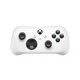 Microsoft Xbox Wireless Nano Controller weiß