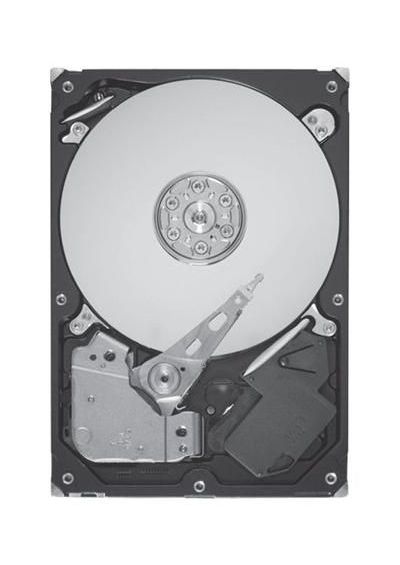 Seagate Savvio 10k 5 300gb Kupit