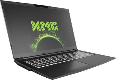 Xmg Core 17 E21tqd 10505793 R7 4800h 16gb 500gb Ssd 17 Wqhd Rtx3060 W10 Kupit