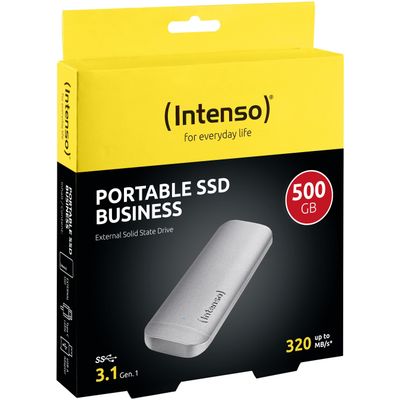 Intenso externe SSD Business USB 3.1 500GB