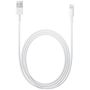 Apple Lightning auf USB Kabel bulk 2.00 m weiß