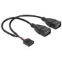 DeLOCK 83292 Kabel USB Pin Header auf 2x USB-A 0.20 m schwarz