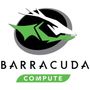 Seagate Barracuda 5400 ST6000DM003 6TB
