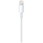 Apple USB-C auf Lightning Kabel Bulk 1.00 m weiß