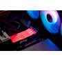 Kingston Fury Renegade RGB 32GB DDR5 RAM mehrfarbig beleuchtet